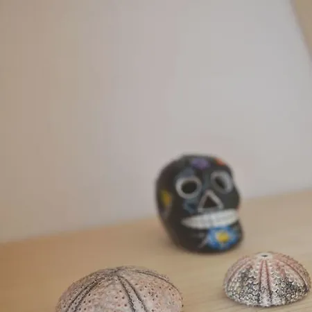 K * Corralejo